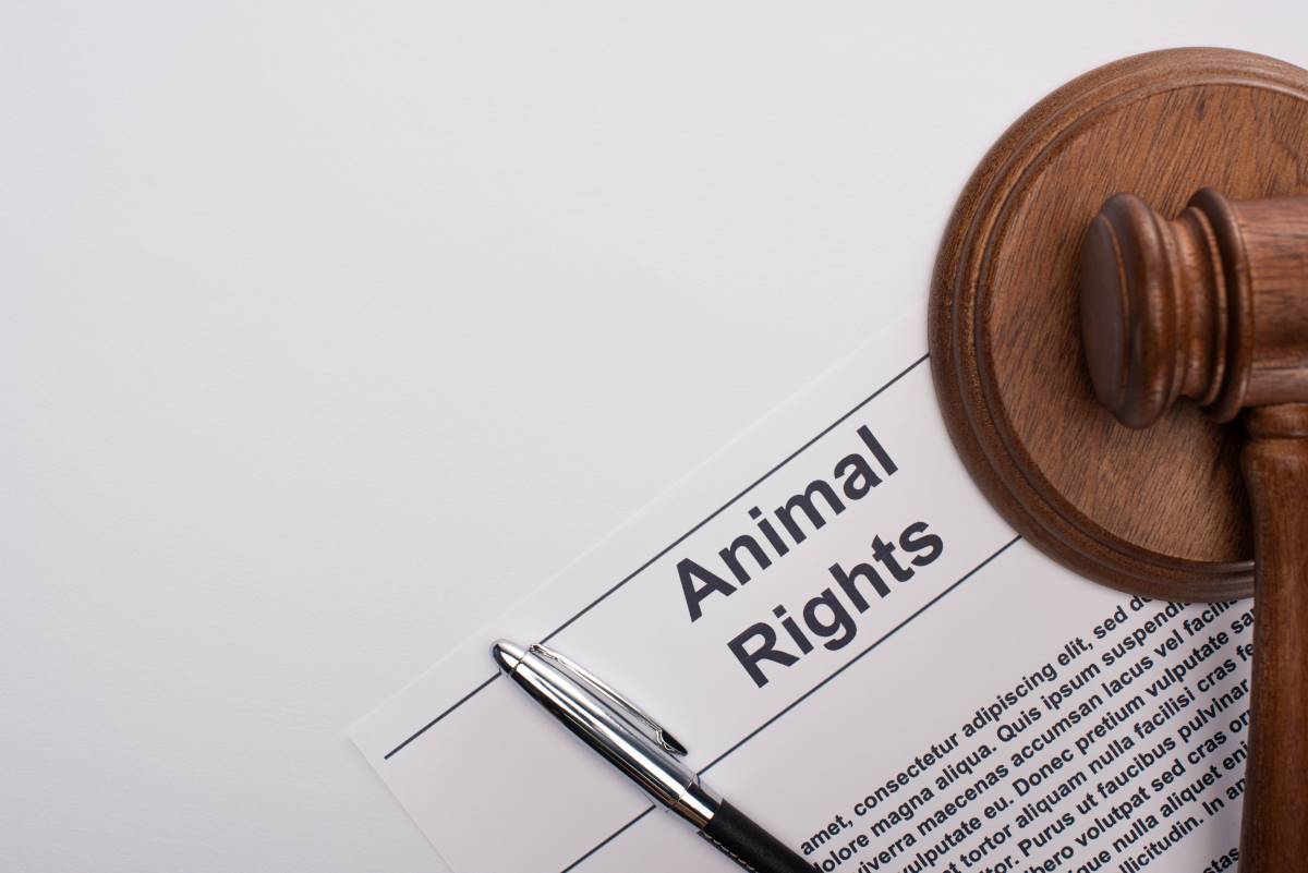 Petition starten in Reutlingen – So funktioniert es richtig