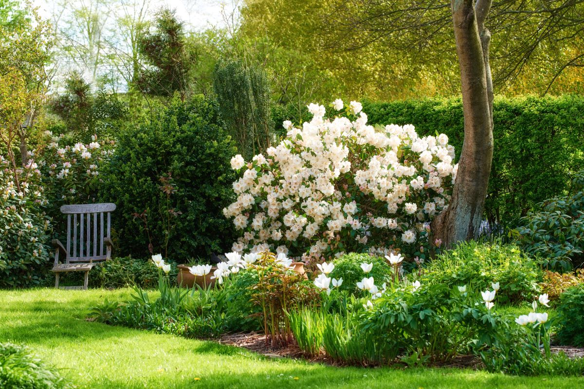 Ruhe im eigenen Garten — Dein persönlicher Rückzugsort in Re