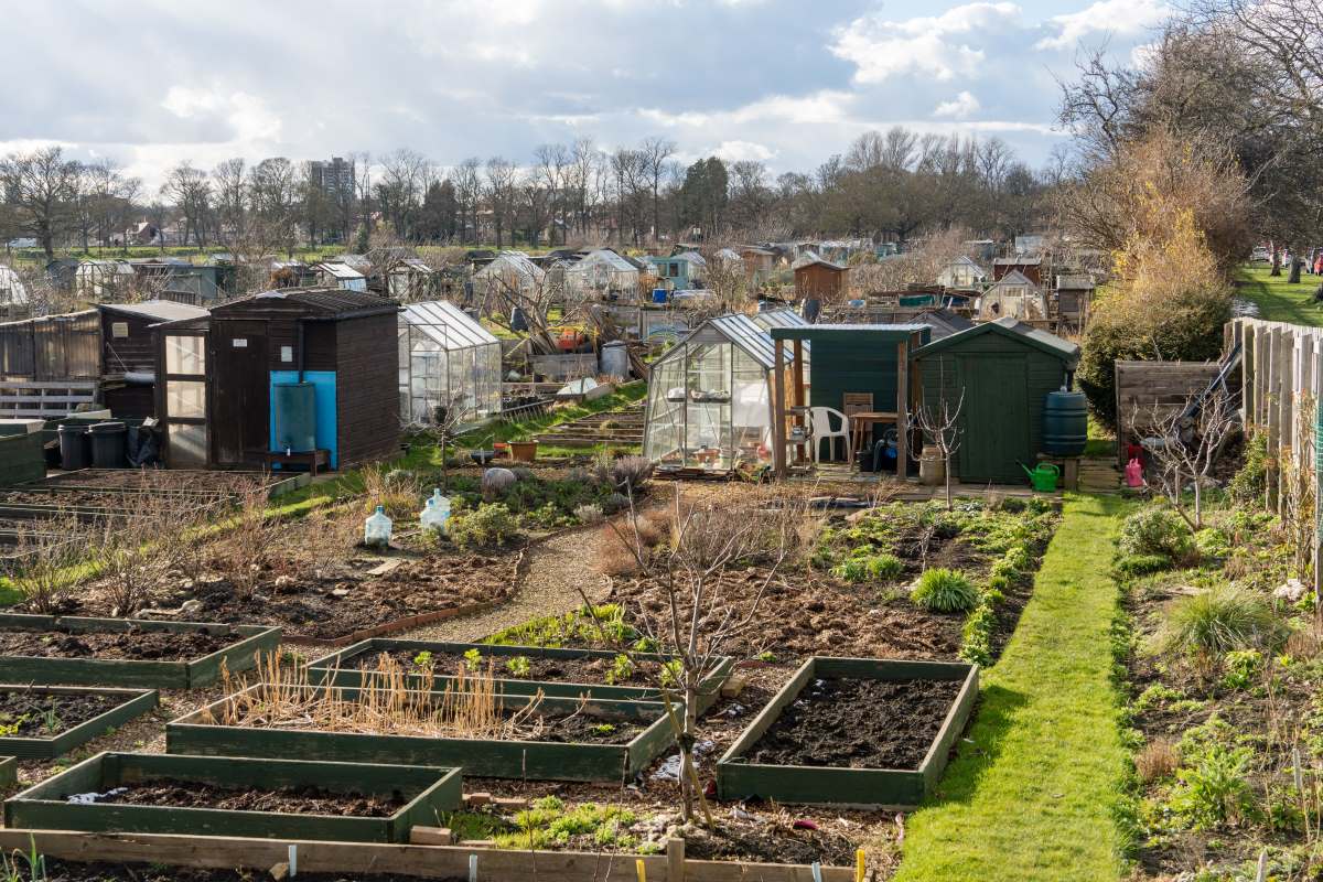 Schrebergarten in Reutlingen: Pacht, Regeln und praktische T